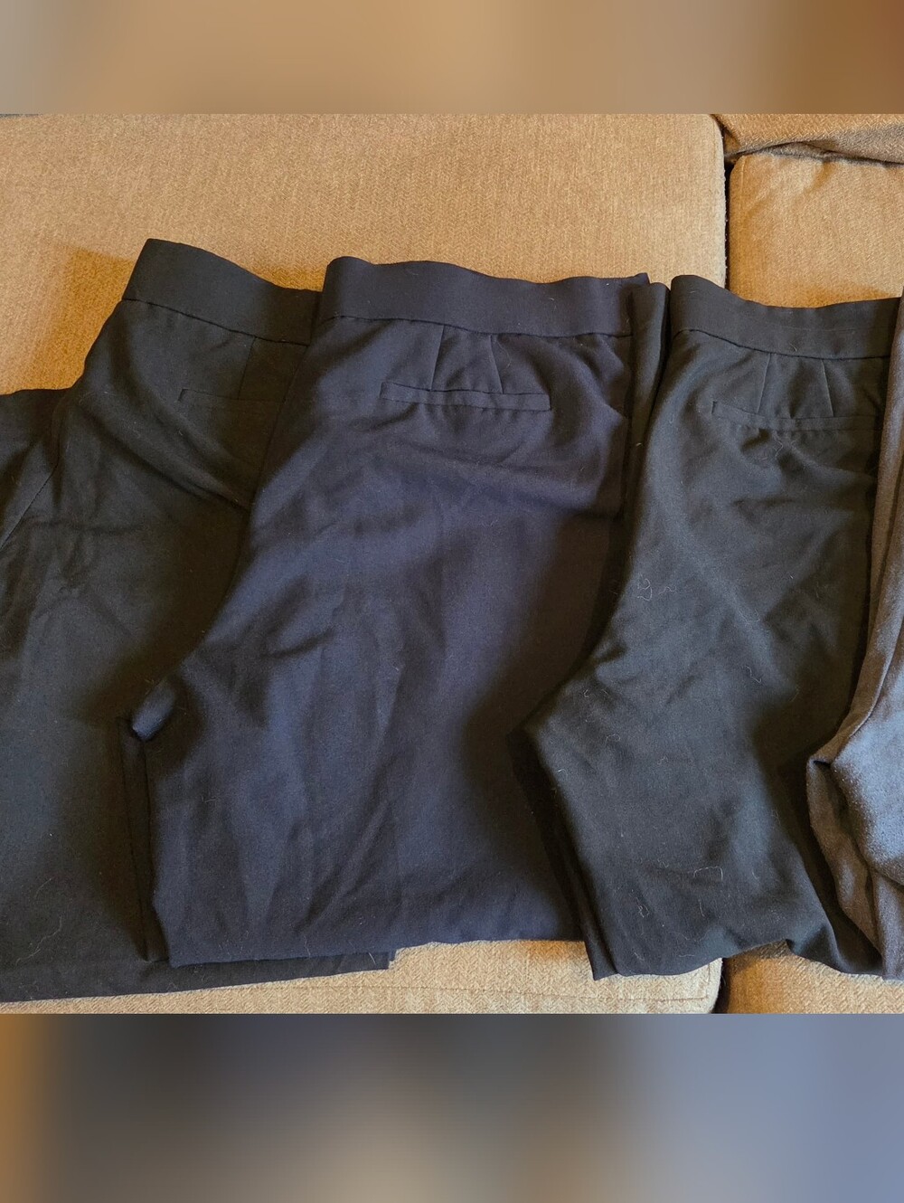 Avenue Womens Slacks 14 Petite Bundle of 4 Preloved